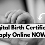 Digital Birth Certificate 2025 – Apply Online & Use for School, Passport & Jobs